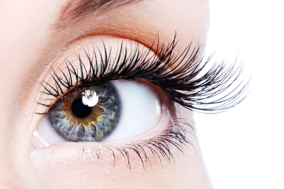 Beauty female eye with curl long eyelashes from Whole Beauty Bar